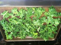 Baked Savory Kale Chips