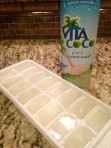 coconut water cubes